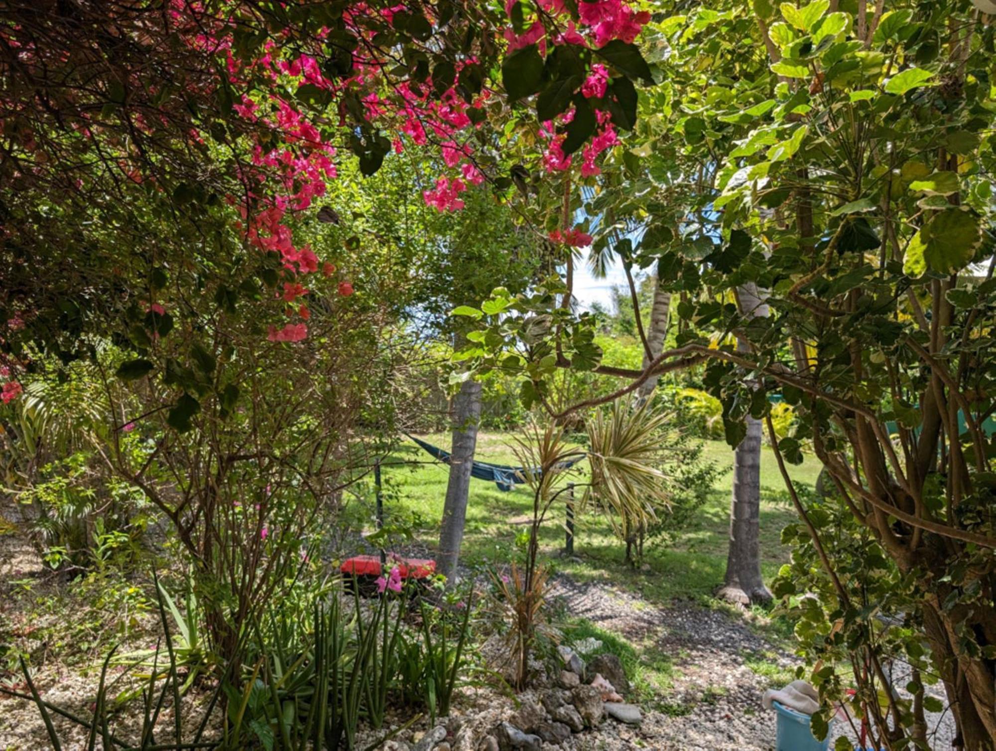 Gîte Cannelle Saint-Francois  Extérieur photo